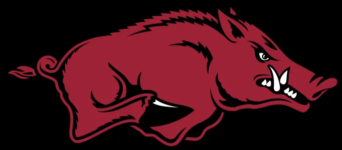 Arkansas Razorbacks vs. Texas Longhorns